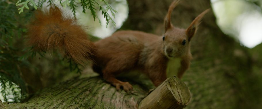 Nicolai Friedhof/ Verwalterhaus Berlin Verwalterhaus Berlin